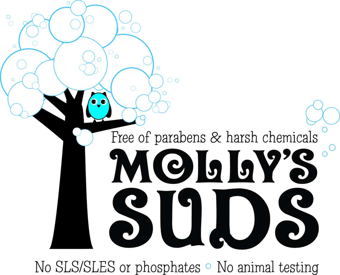 Natural Laundry Stain Remover – Molly's Suds