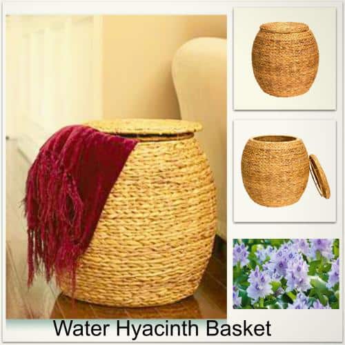 <img src="water hyacinth basket.jpg" alt="large lidded water hyacinth storage basket in natural"> 