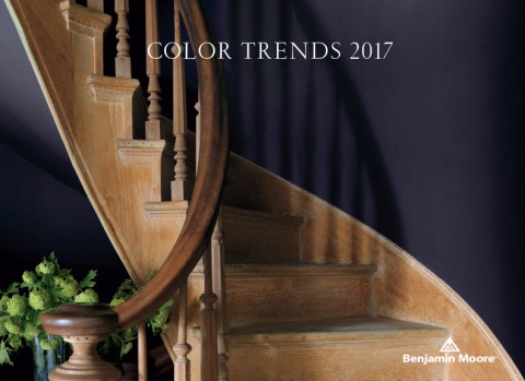 2017 Color of the Year