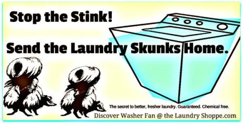   <img src="smelly washer.jpg" alt="Smelly washing mahine laundry solution washer fan"> 